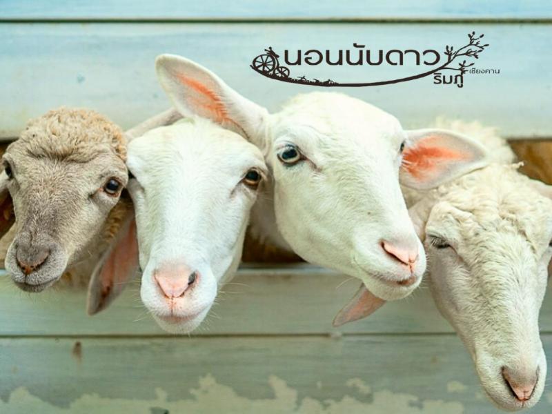 Norn Nab Dao Rimphu Resort Chiang Khan Exteriér fotografie
